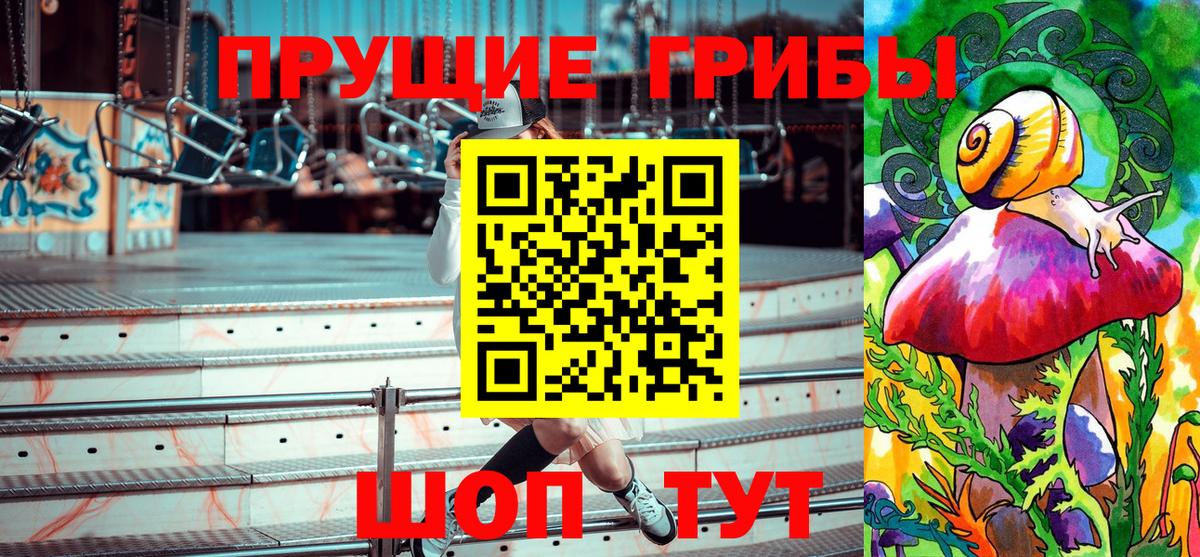 Галлюциногенные грибы Psilocybe Ишим